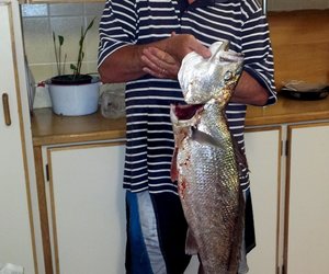7kg Kabeljou op Huisbesoek gevang